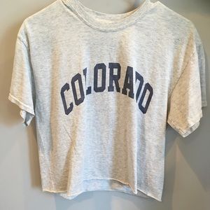 Brandy Melville Crop Top